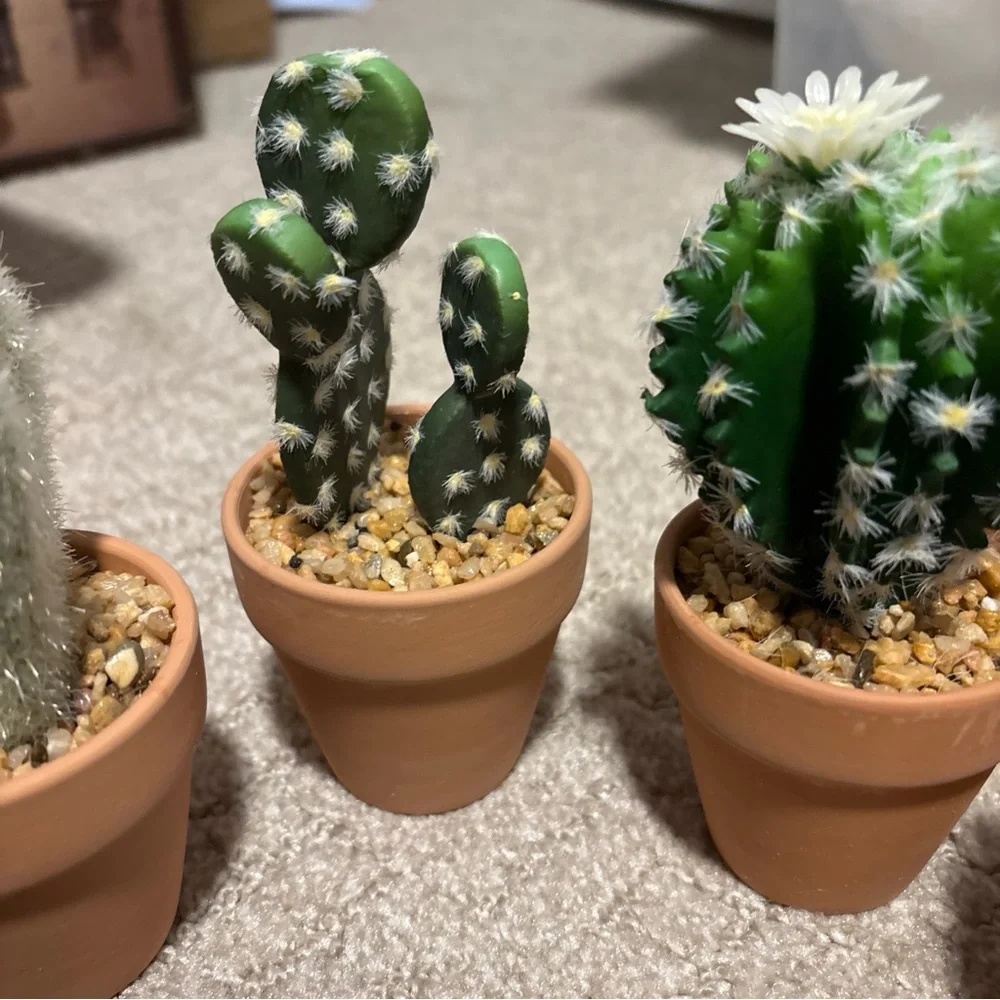 Mini Artificial Cactus Plants in Terracotta Pots 4 Pcs Potted Faux Succulents